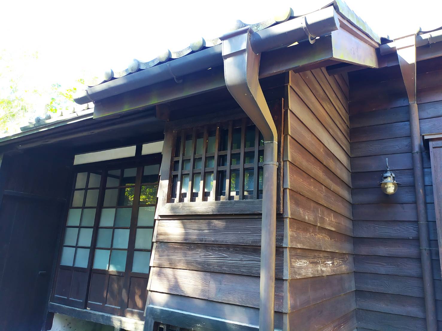 影/風情萬種苗栗舊山線 鐵道自行車載著旅客尋幽攬勝 - https://www.watchmedia01.com