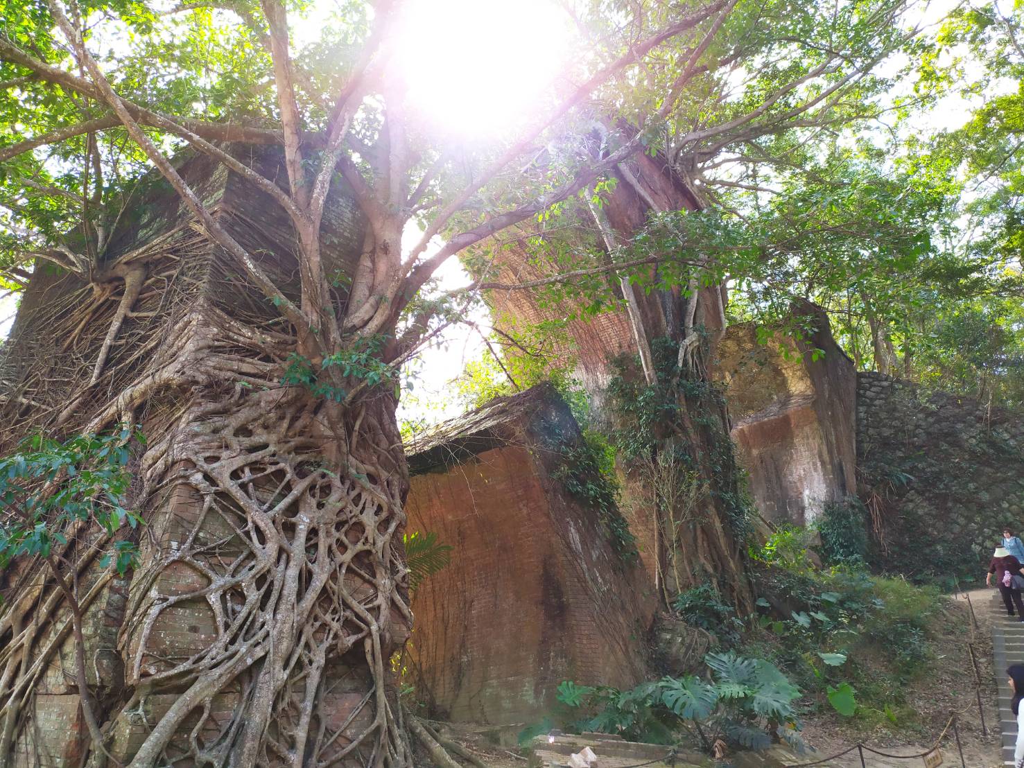 影/風情萬種苗栗舊山線 鐵道自行車載著旅客尋幽攬勝 - https://www.watchmedia01.com