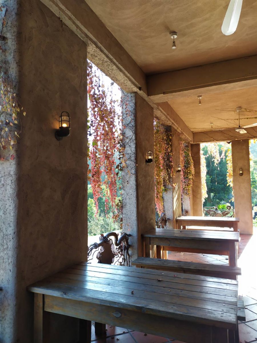 影/風情萬種苗栗舊山線 鐵道自行車載著旅客尋幽攬勝 - https://www.watchmedia01.com