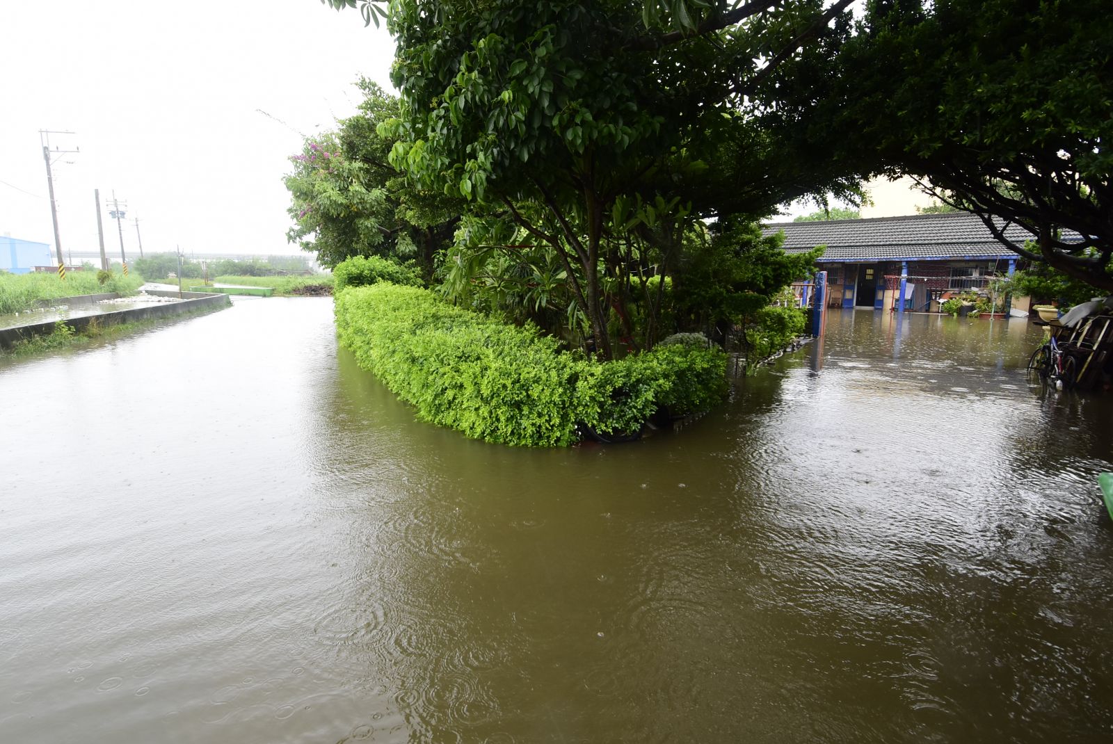 影/大城、芳苑鄉低窪地區淹及膝 爭取設置閘泵式抽水機 - https://www.watchmedia01.com