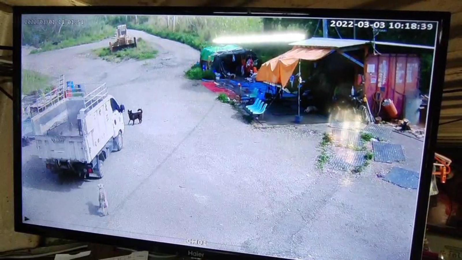 影/大村鄉公所清潔隊員載運流浪狗途中撞傷浪犬 愛媽指控蓄意 - https://www.watchmedia01.com
